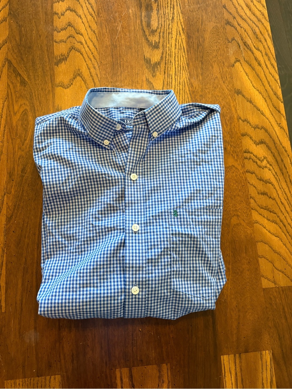 IZOD Blue Gingham Button-Down Shirt